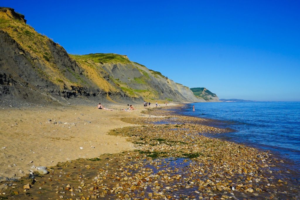 Things to do in Jurassic Coast - things to do in Devon - East Devon Coast