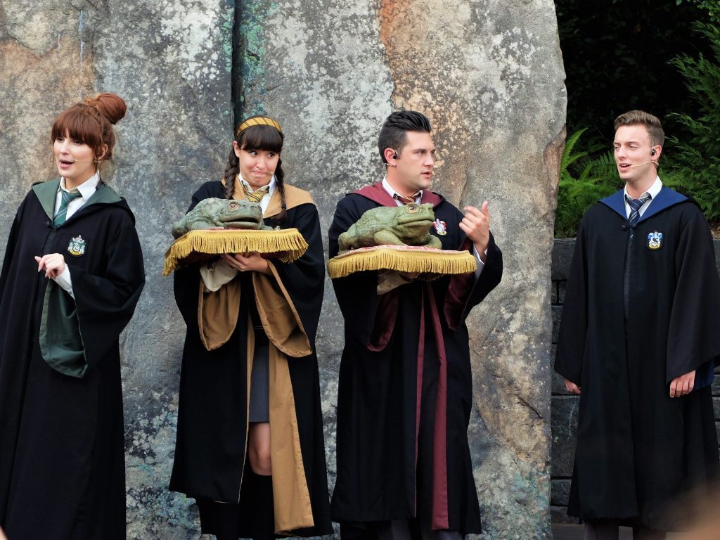 Hogwarts Choir Performance