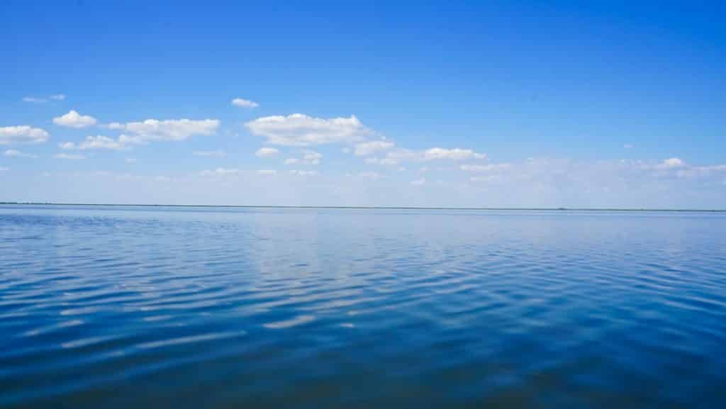 Discover Danube Delta