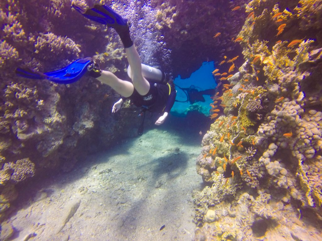 Scuba Diving in Eilat