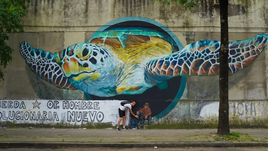 Dog Man Turtle Street Art - buenos aires things to see