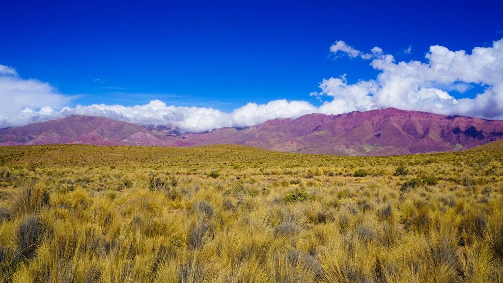rainbow mountain argentina | coloured mountains argentina | color mountain argentina | The Impossible Fourteen Coloured Mountain in Northern Argentina