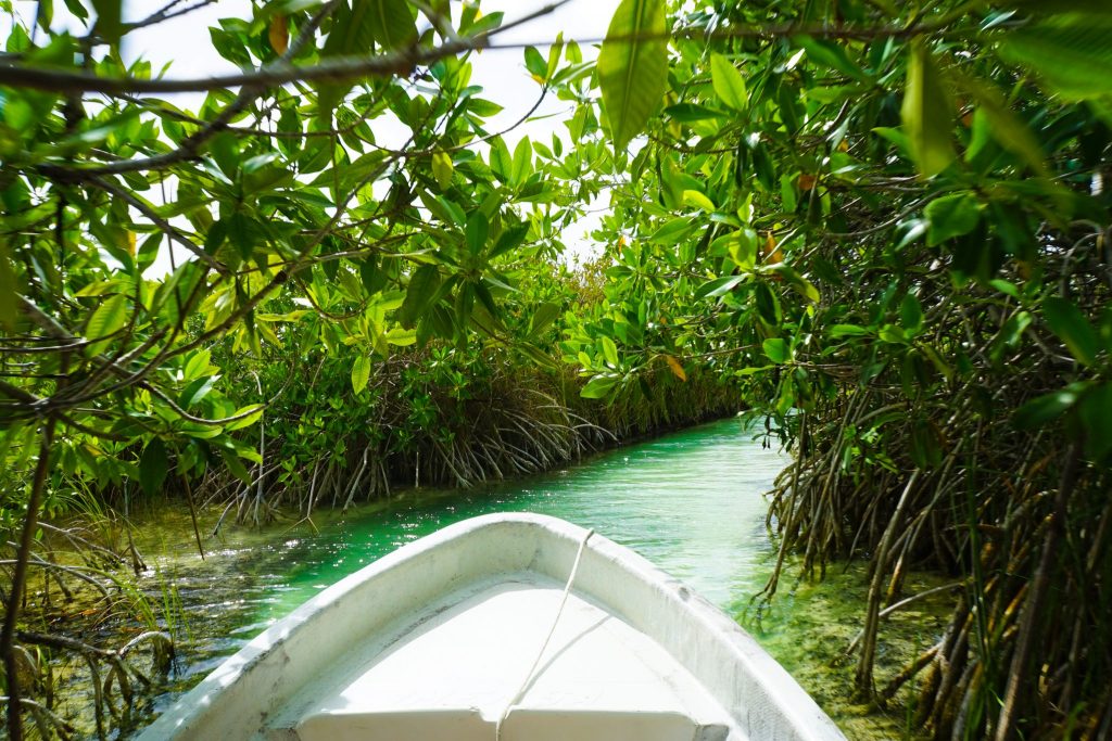 Tulum: el destino Eco-chic de moda en México - Sian ka'an Adventure