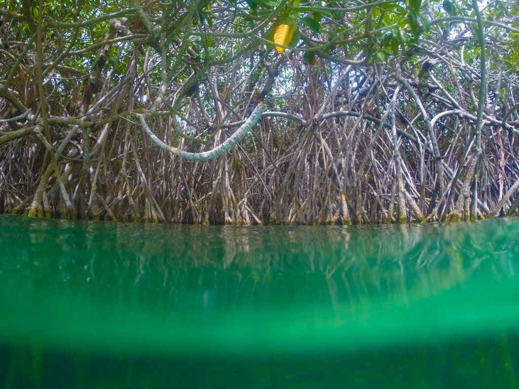 Tulum: el destino Eco-chic de moda en México - Sian ka'an Adventure