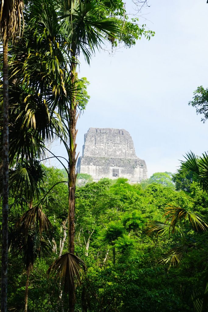 tikal information | where to stay in tikal | where to stay near tikal | places to stay in tikal