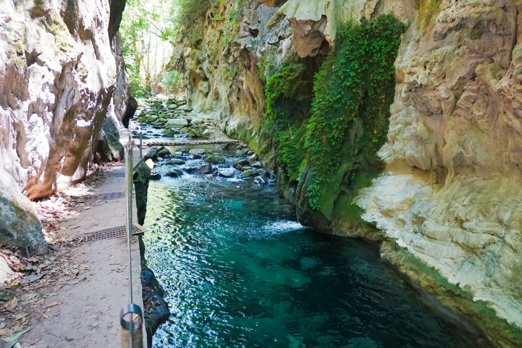 Cueva Puente de Dios Sierra Gorda Biosphere Reserve In Mexico!
