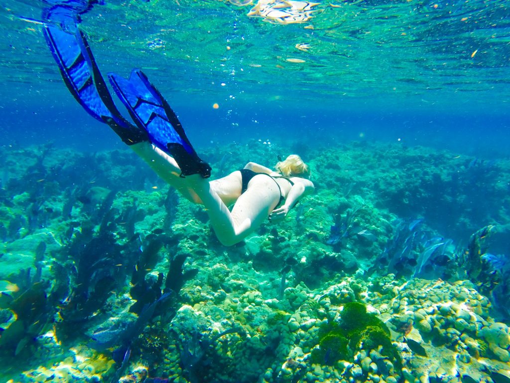 key west reef snorkeling