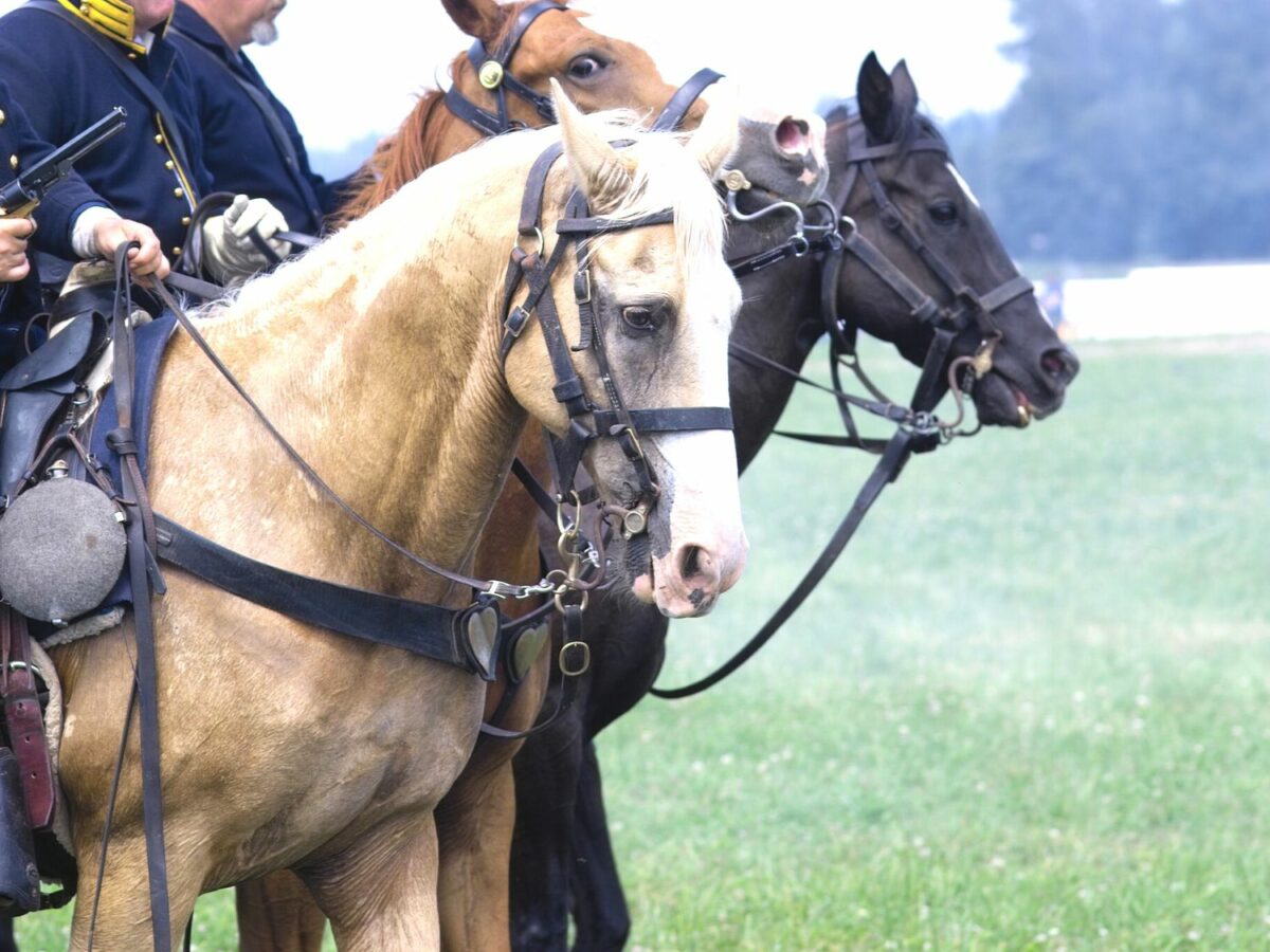 10 Best English War Movies To Better Understand England's Military