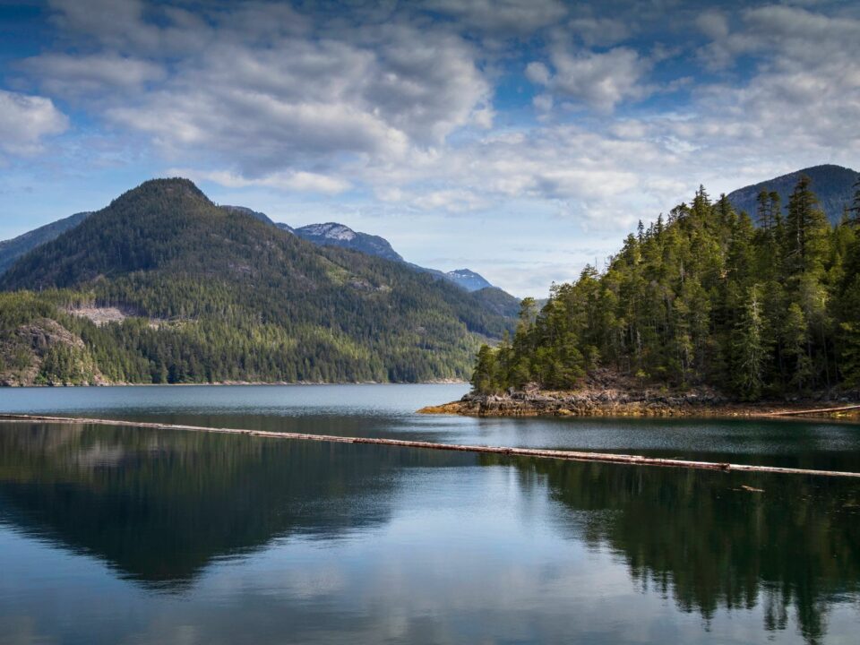 10 Extraordinary Movies Set In Vancouver That Will Inspire You To Visit ...