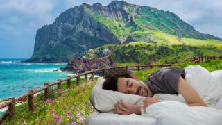 Best Hotels In Jeju Island South Korea: Top 7 Must-Stay Escapes!