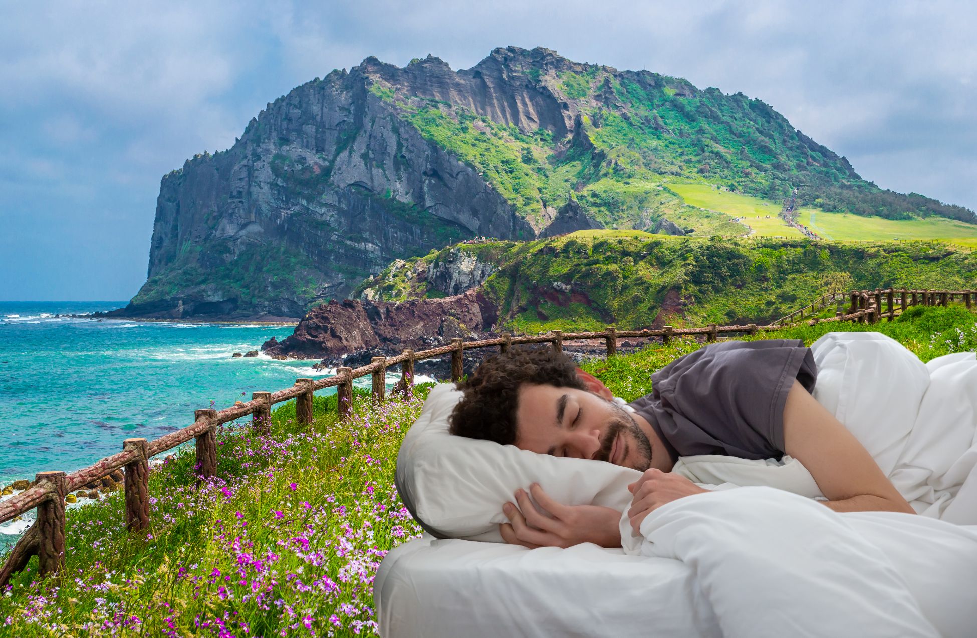 Best Hotels In Jeju Island South Korea: Top 7 Must-Stay Escapes!