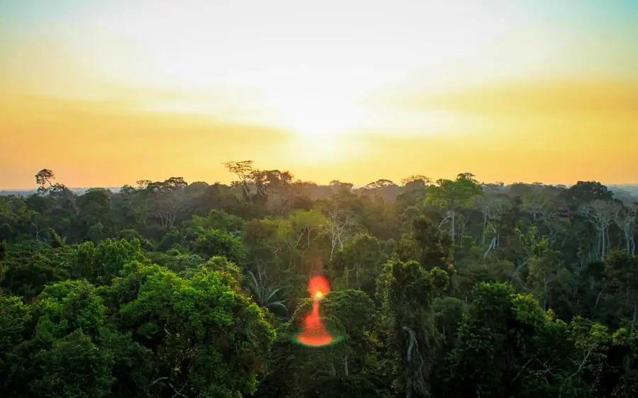 Amazon Jungle Stay