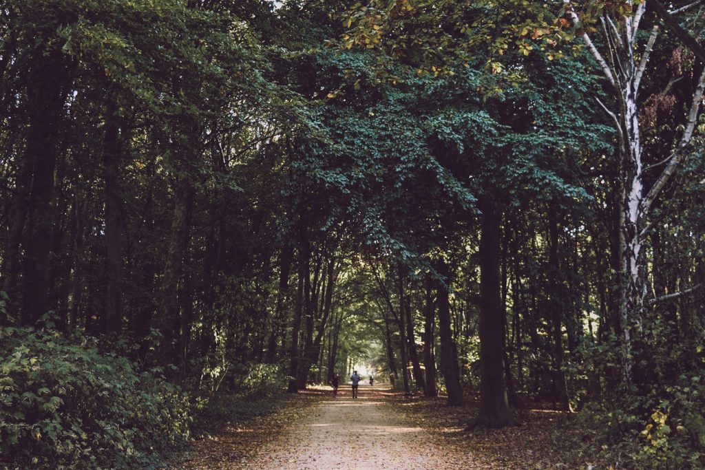 The Memorial to Homosexuals Persecuted Under Nazism in Berlin's Tiergarten