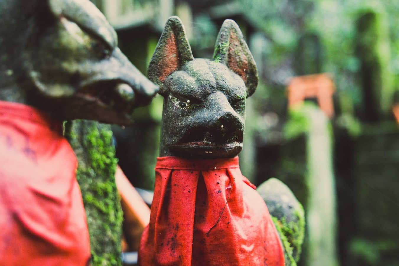 A Traveller’s Guide To The Kyoto Fox Shrine: Home Of The Mythical Inari Foxes