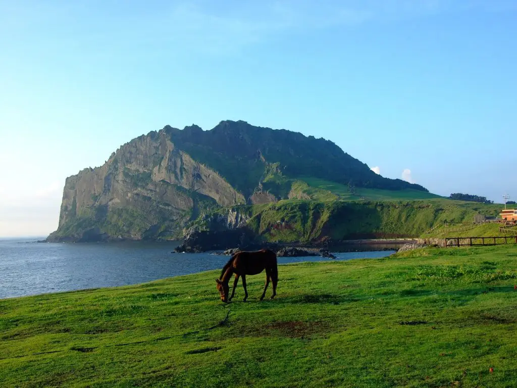 things to do in jeju| jeju island attractions | jeju island points of interest | things to do in jeju island