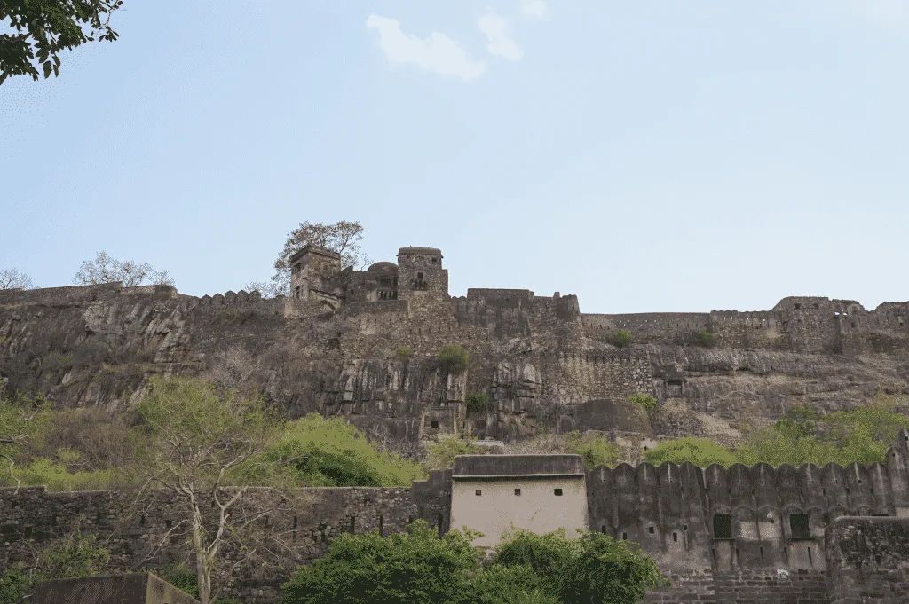 Ranthambore National Park Tigers