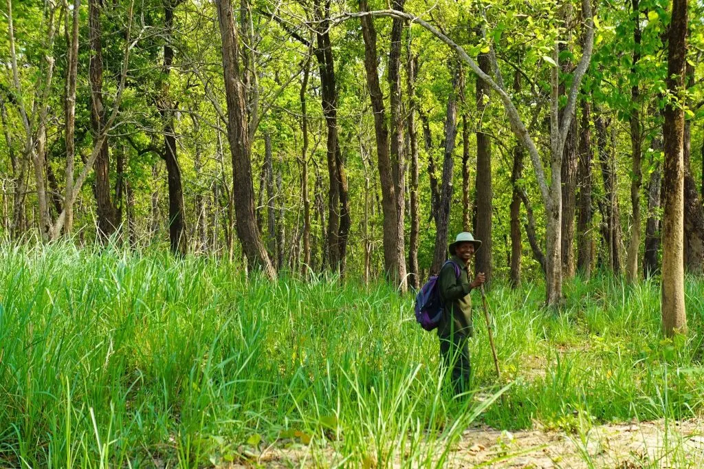 Chitwan National Park 