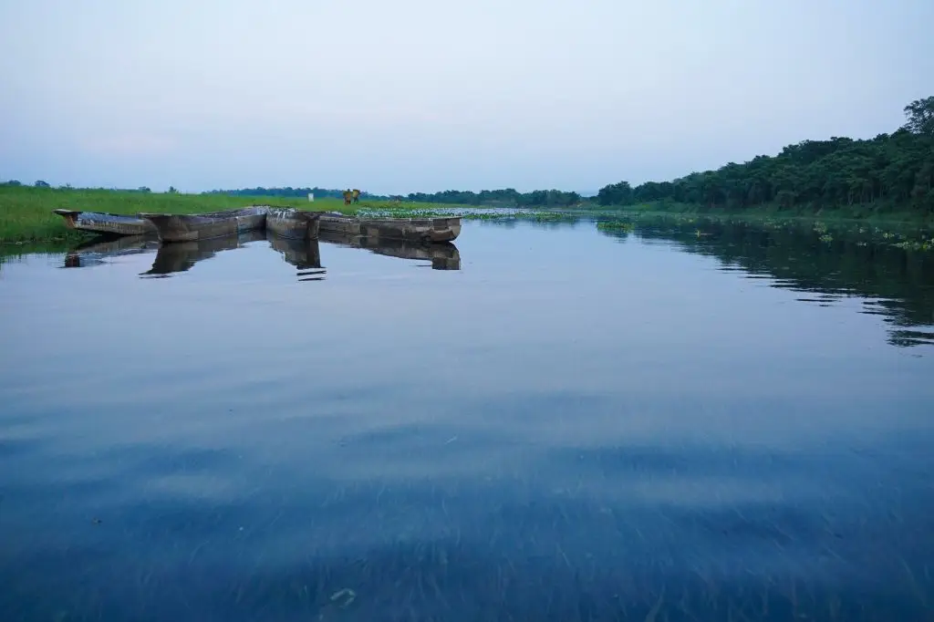 The Royal Chitwan National Park - Chitwan Jungle Safari