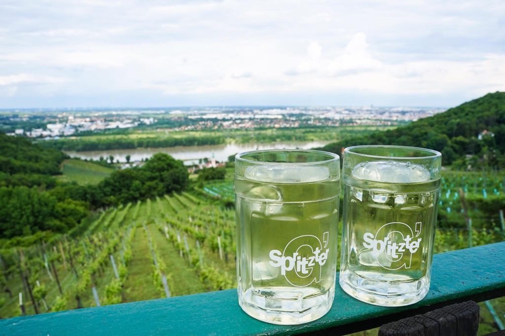 top things to do in Vienna Wine Tour
