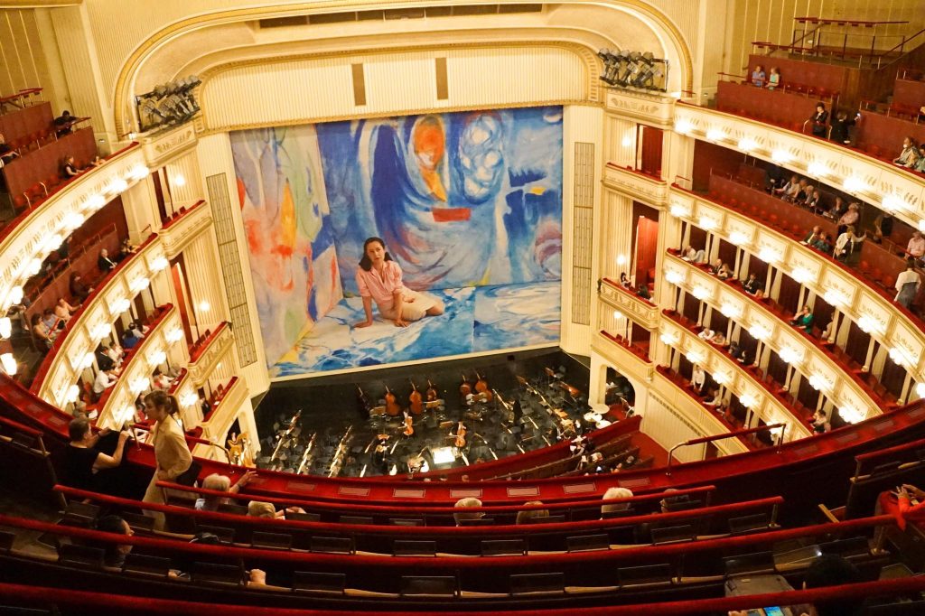 vienna opera guided tour - World Class Vienna Opera Performance