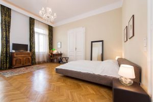 Vienna opera standing ticket best option