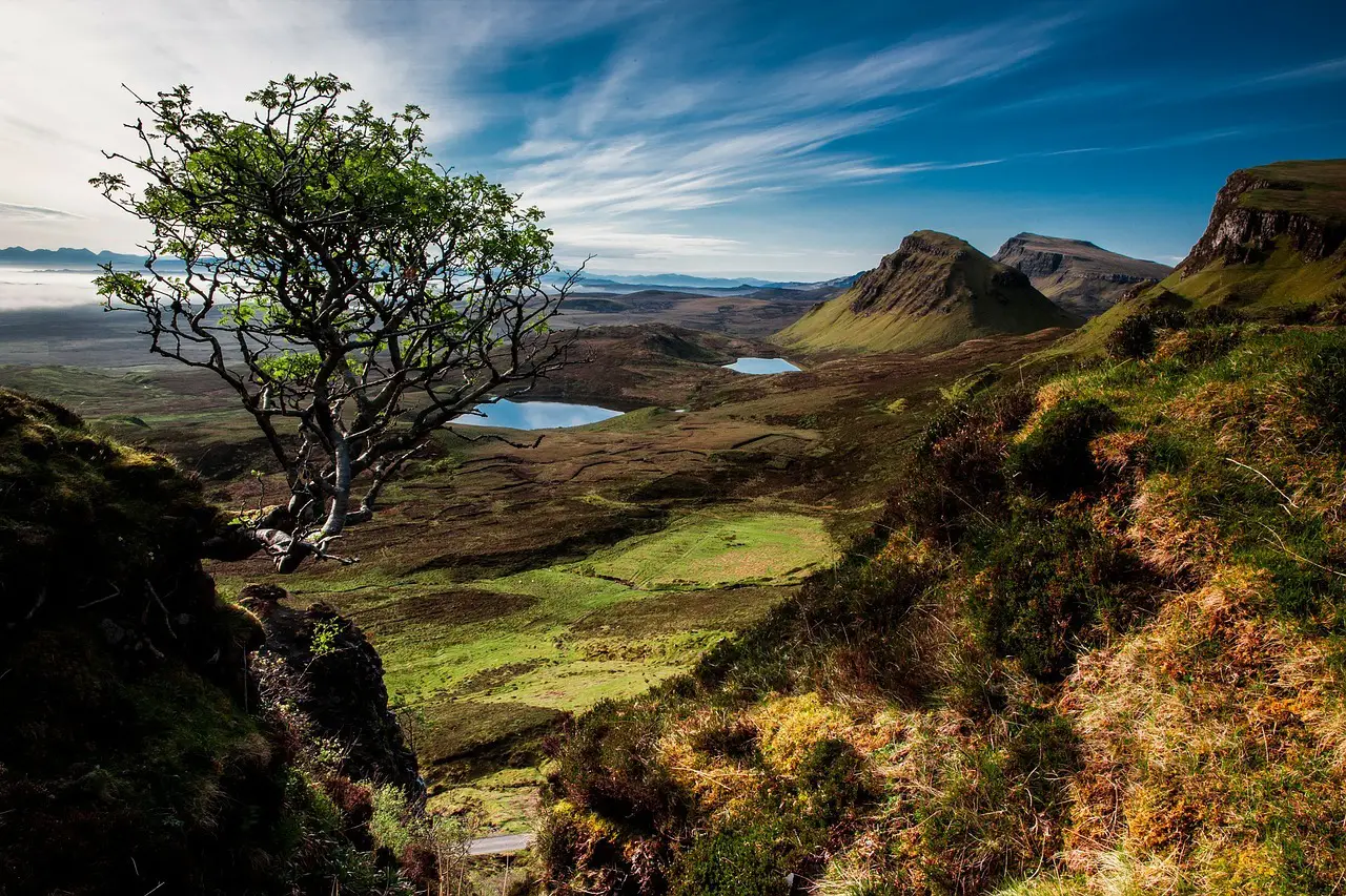 Landscape Quairaing Scotland Isle Of Skye Tree