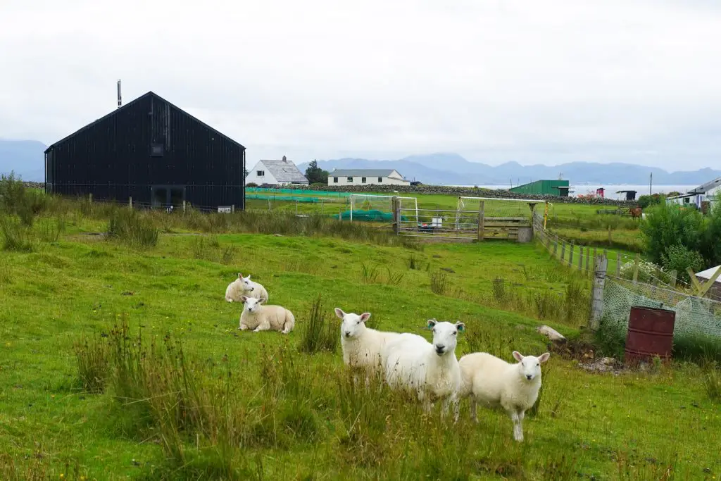 Isle of Muck - scotlands smallest isle