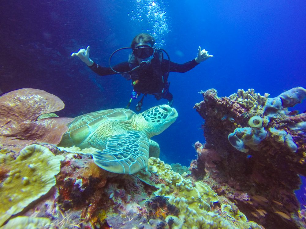 Best Dive Sites In The World That I've Been To!