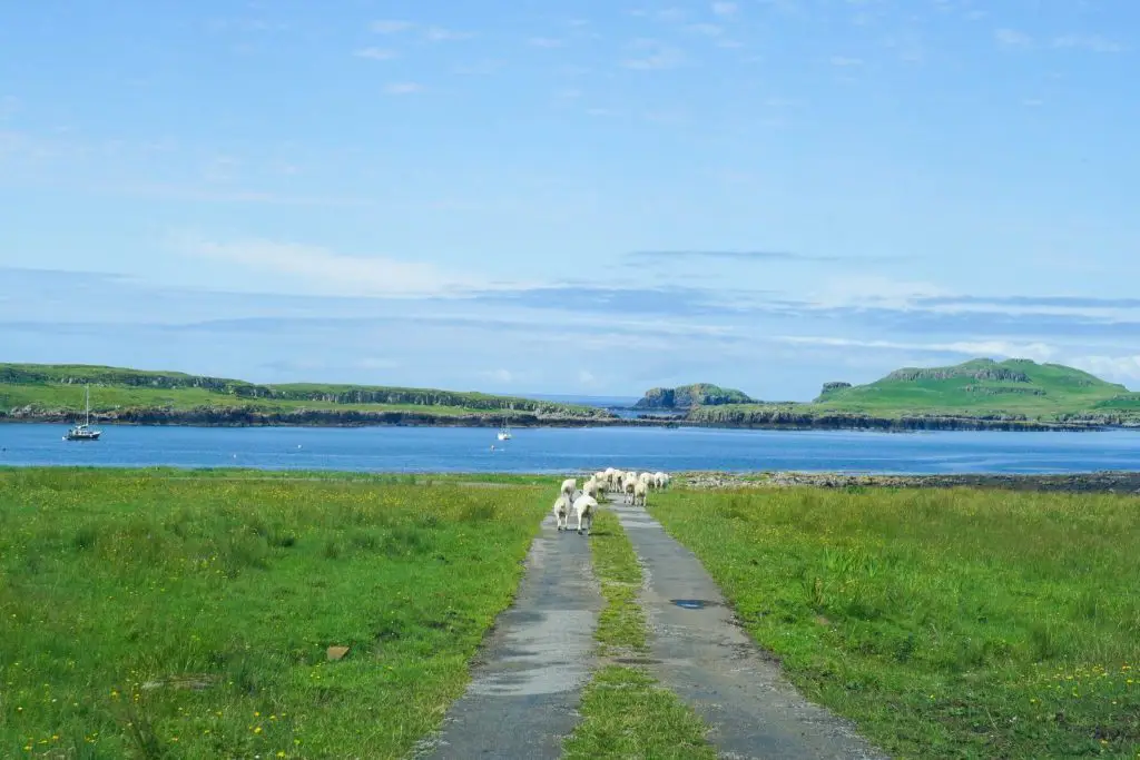 isle of muck ferry