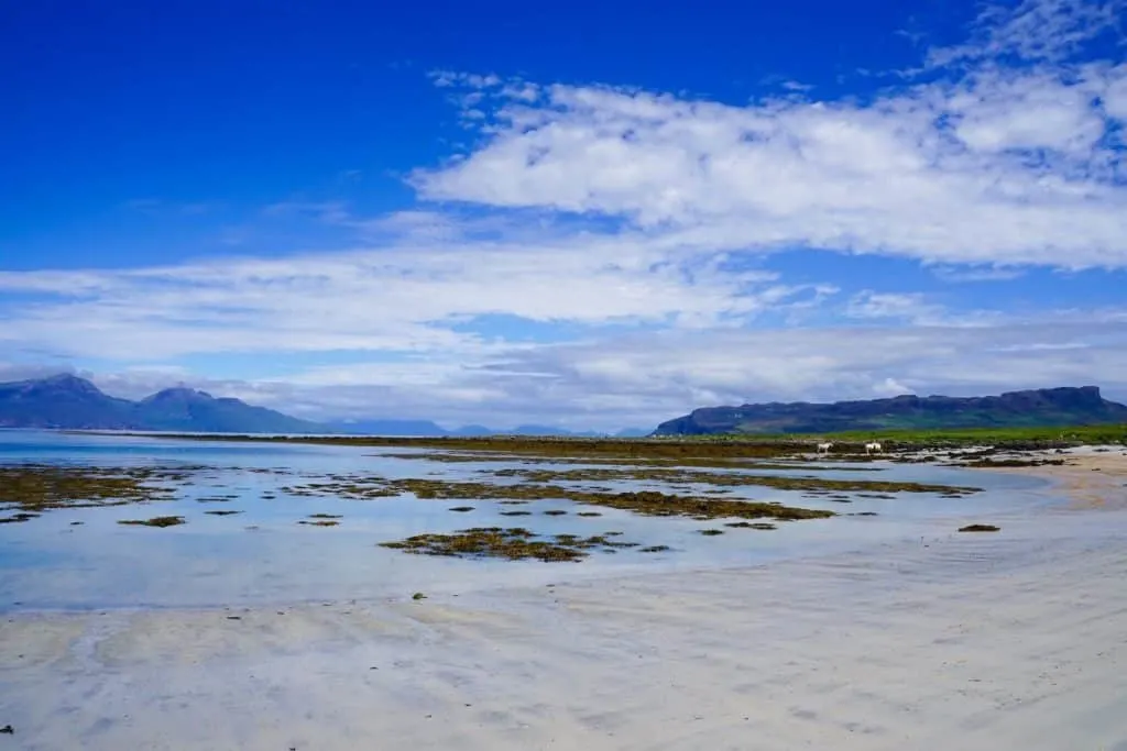 isle of muck accommodation