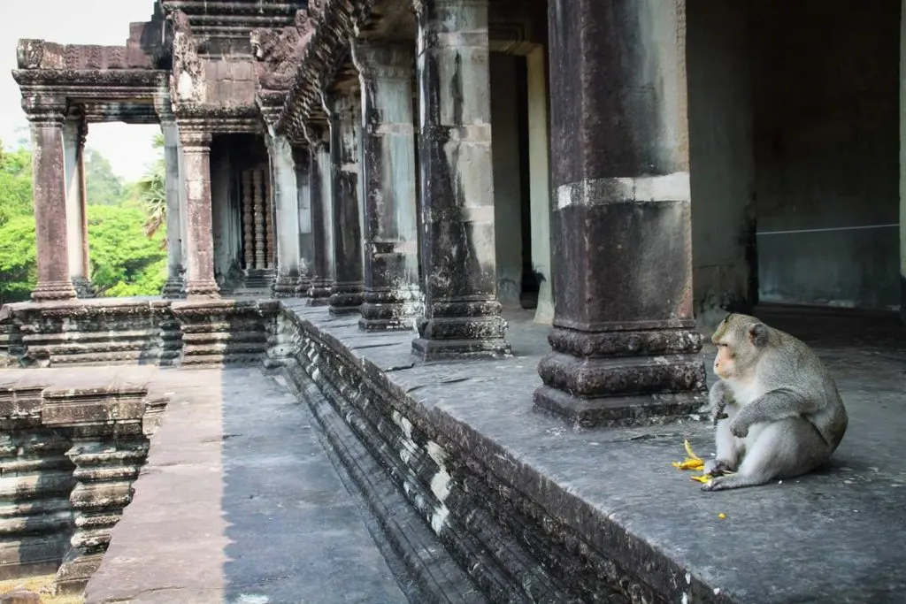 Beautiful Pictures of the World Cambodia