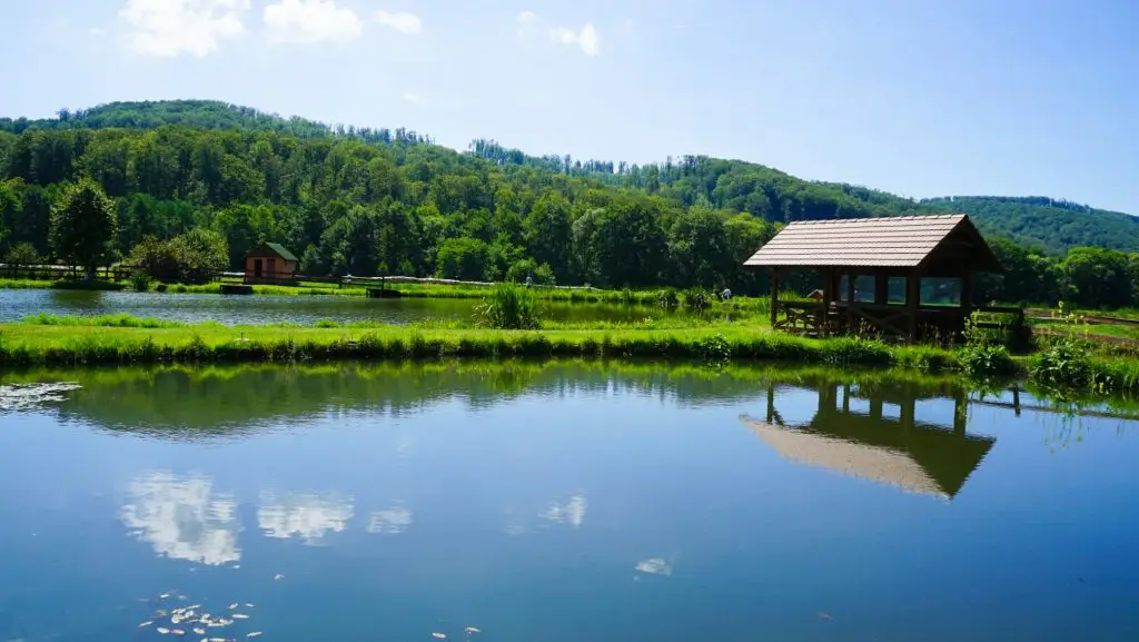 Han Pescăresc - Small Town Romania