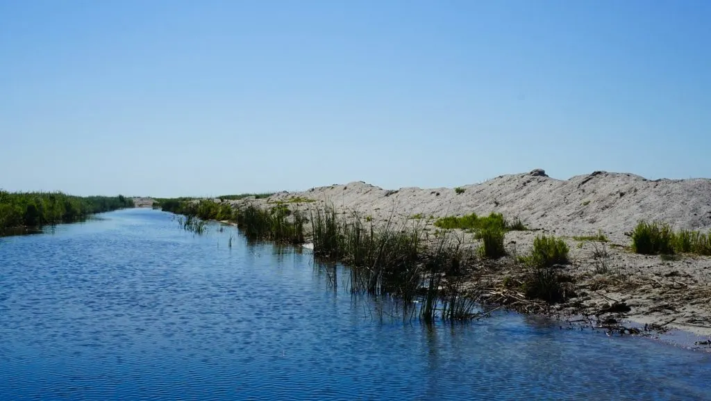 Discover Danube Delta