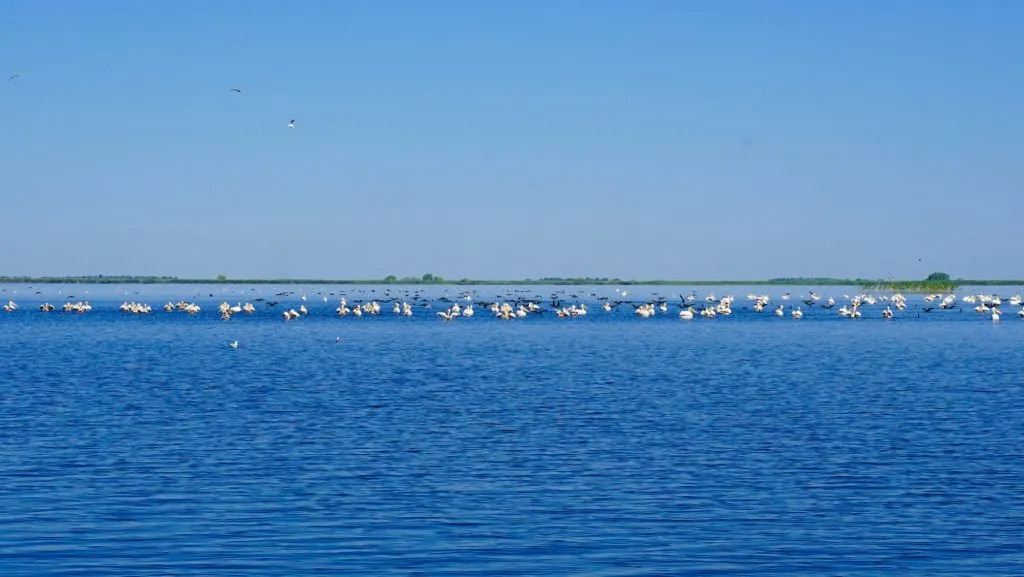 Discover Danube Delta