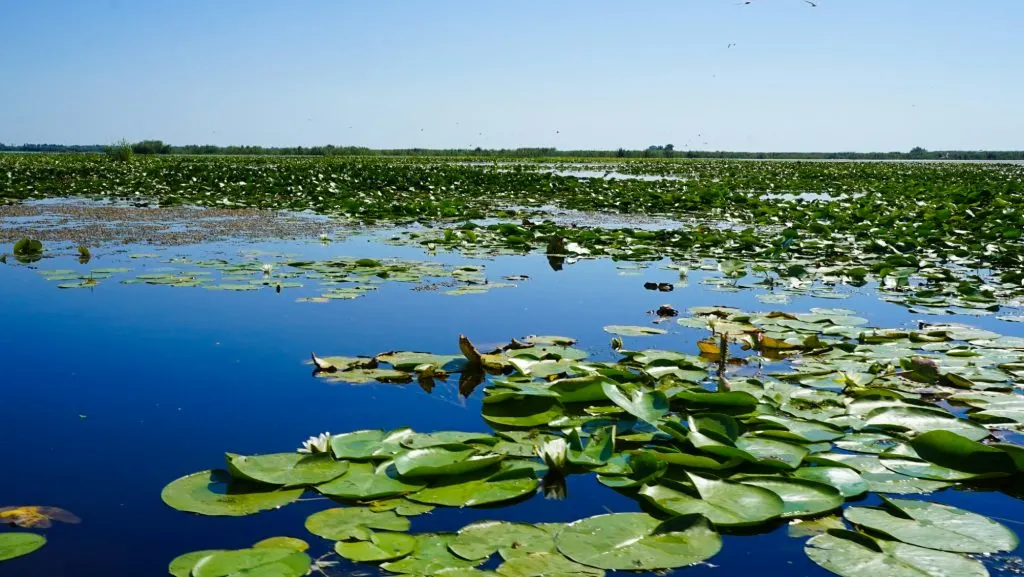 Danube Delta Romania Travel