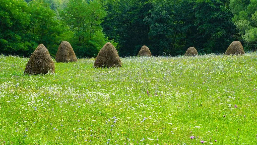 Beautiful Places in Romania