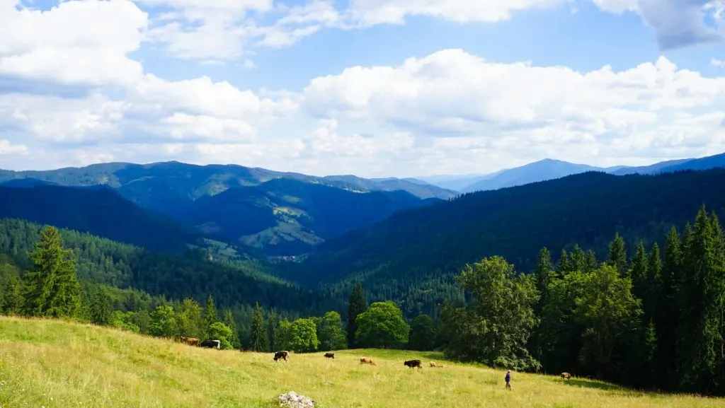 Moldovița Mountains