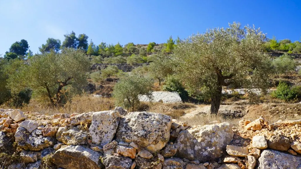 Battir Ecomuseum