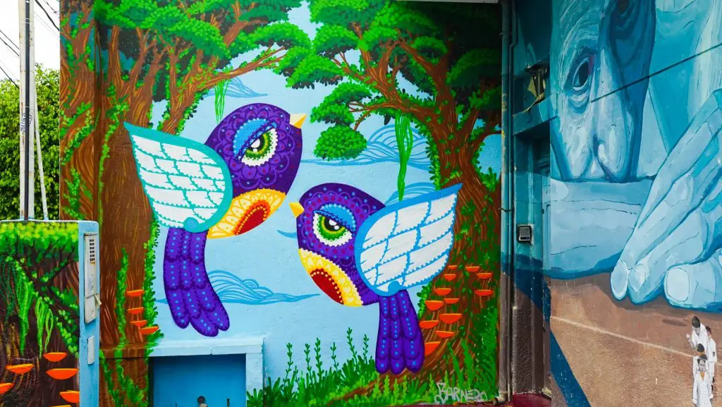 Brazil Sao Paulo Street Art Scene