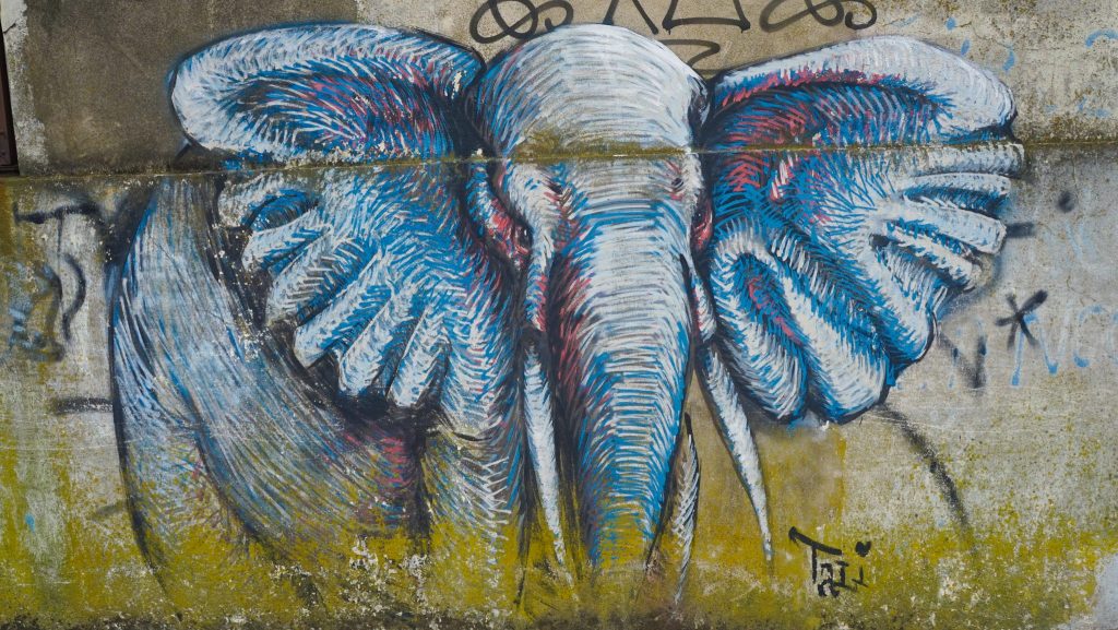 graffitimundo buenos aires street art argentina tours
