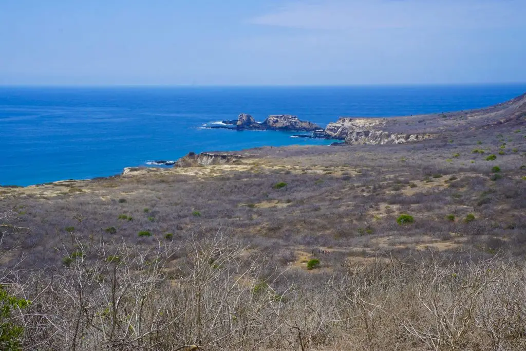 Isla De La Plata Ecuador: Alternative to the Galapagos?