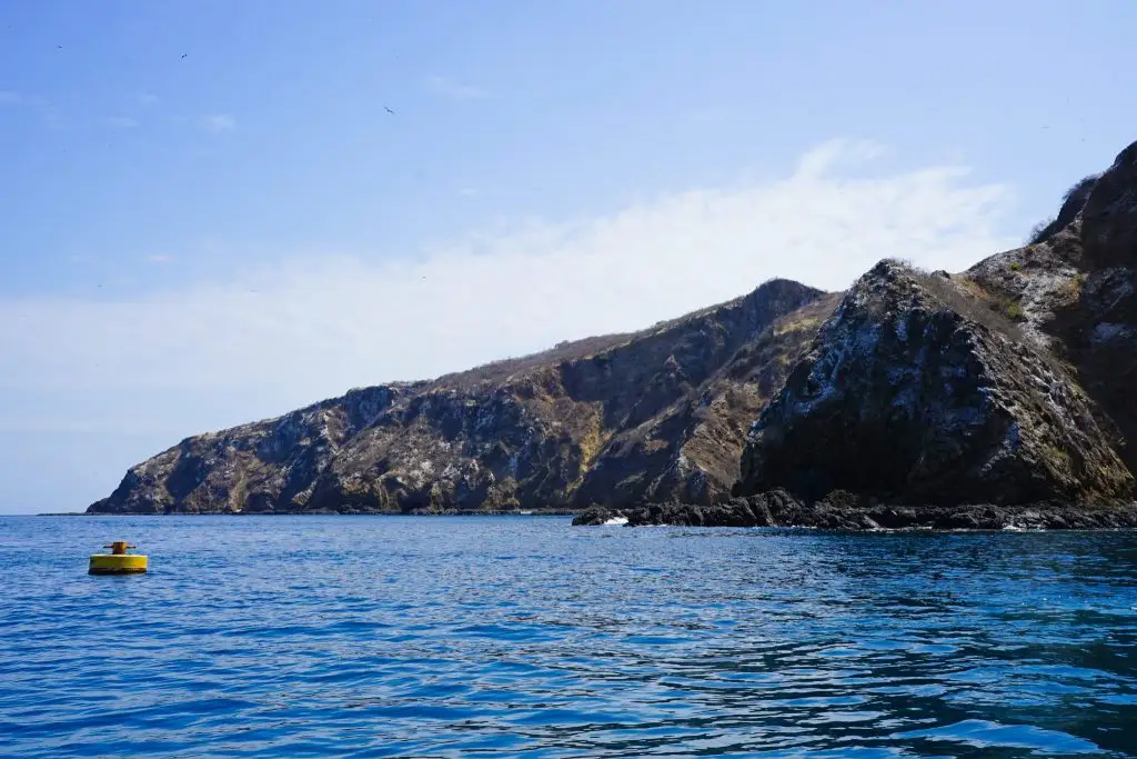 Isla De La Plata Ecuador: Alternative to the Galapagos