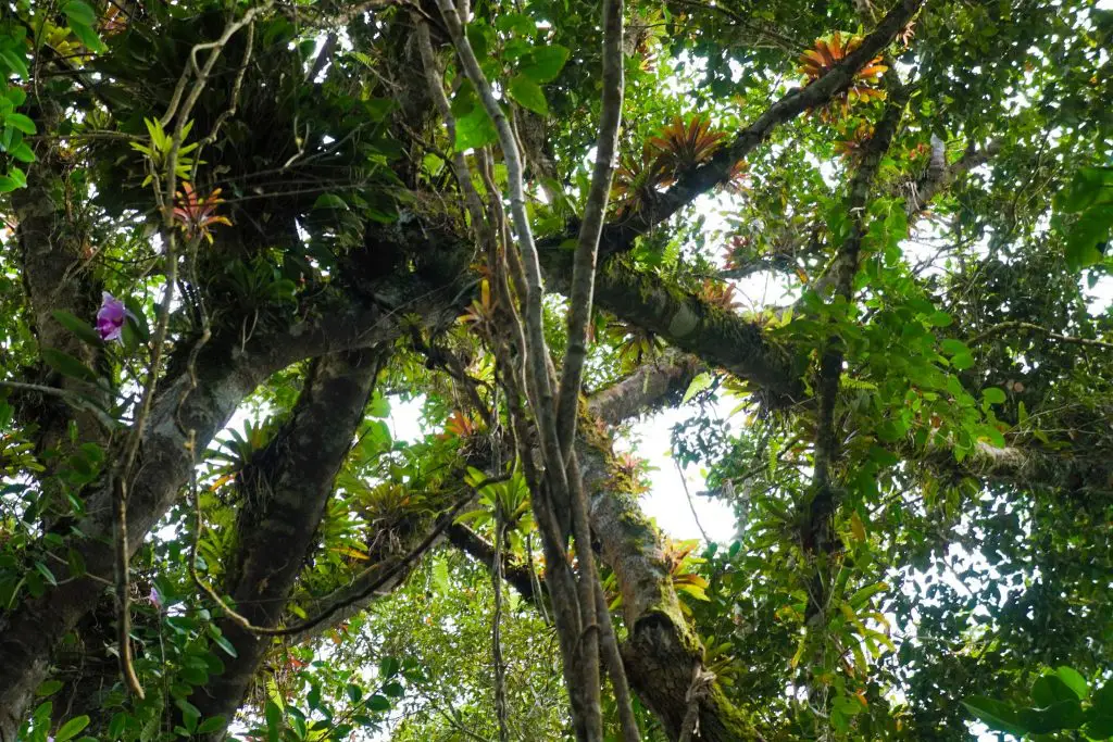 San Agustin in Colombia - The World’s Cutest UNESCO Site