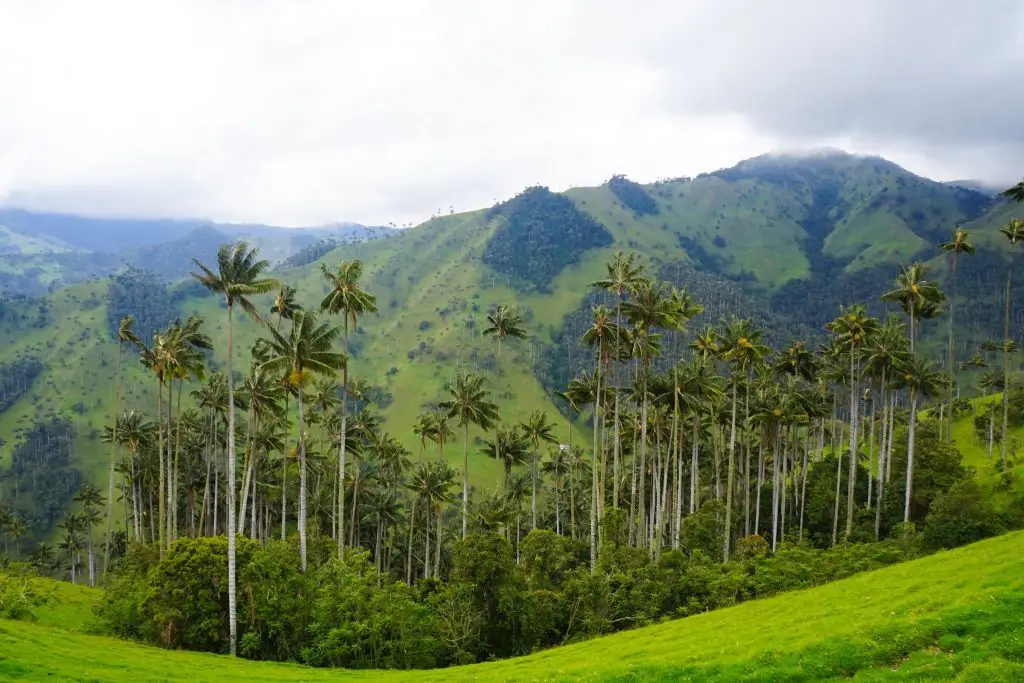 places in colombia ** best beaches in colombia ** places to go in colombia ** colombia what to do ** what to visit in colombia **