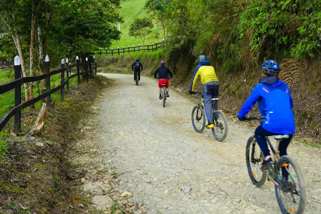 Salento mountain Biking with Salento Cycling in Colombia to the World's Biggest Palm Forest! One of the best things to do in Salento, Colombia!