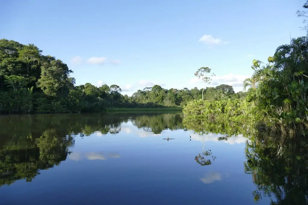 Sani Lodge Ecuador: Luxury Amidst Untamed Amazonian Nature