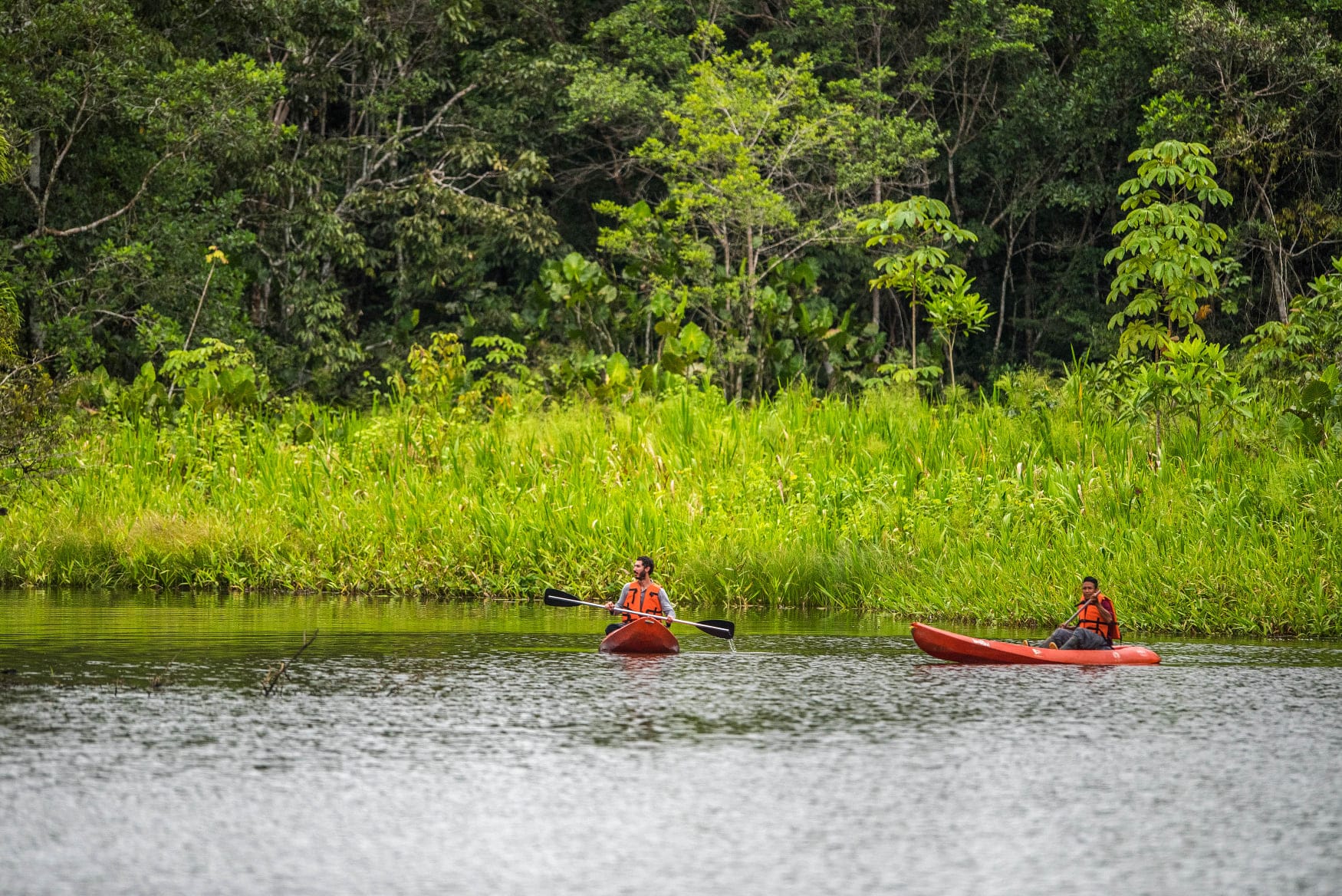 Sani Lodge Ecuador: Luxury Amidst Untamed Amazonian Nature