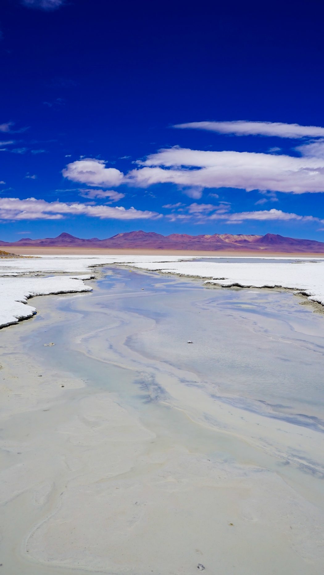 An Honest Review Of The Cruz Andina Bolivia Salt Flats Tour!