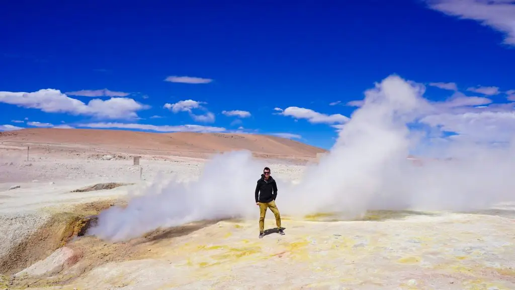 Bolivia Salt Flat Tour to Salar de uyuni. Llama