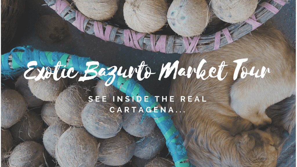 Exotic Bazurto Market Tour: Inside the Real Cartagena